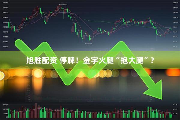 旭胜配资 停牌！金字火腿“抱大腿”？