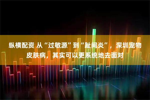 纵横配资 从“过敏源”到“趾间炎”，深圳宠物皮肤病，其实可以更系统地去面对