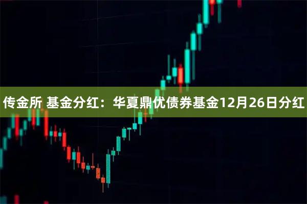 传金所 基金分红：华夏鼎优债券基金12月26日分红