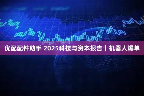 优配配件助手 2025科技与资本报告｜机器人爆单