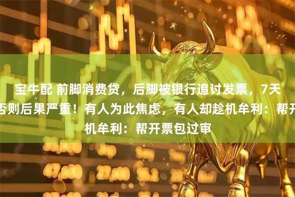 宝牛配 前脚消费贷，后脚被银行追讨发票，7天内上传，否则后果严重！有人为此焦虑，有人却趁机牟利：帮开票包过审